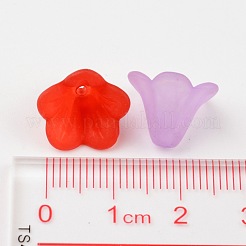 Смешанный цвет матового акриловые бусины&nbsp;X-PL692