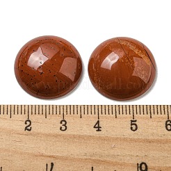 Natürlichen roten Jaspis-Cabochons&nbsp;G-C115-02A-29