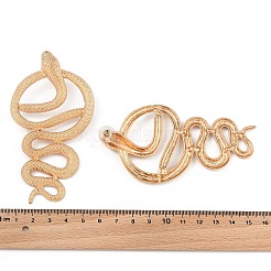 Legierungsbolzenohrringe&nbsp;EJEW-R021-03KCG-02