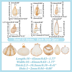 24 шт. 12 стиля подвески из натуральных ракушек с гальваническим покрытием&nbsp;SHEL-ME0001-09