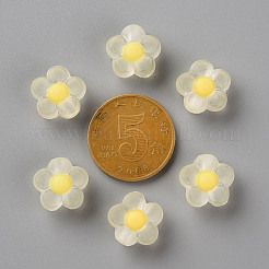 Прозрачные акриловые бусины&nbsp;X-TACR-S152-06C-SS2105