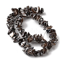 Нити бусин из натуральных трохоидных/трохус ракушек&nbsp;SHEL-B003-02M