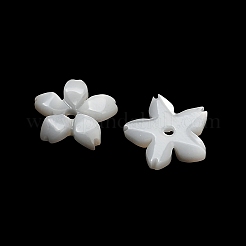 Natürlichen weißen Muschelperlen&nbsp;SH-CBA93AD-08