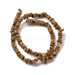 Бусины из натуральных пресноводных ракушек&nbsp;SHEL-B003-01D