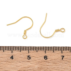 925 ganci francesi in argento sterling con spirale&nbsp;STER-T007-119G