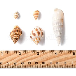 103.8 г подвески из натуральной спиральной ракушки в двух стилях&nbsp;SSHEL-FS0001-08