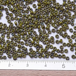 Cuentas de rocailles redondas miyuki&nbsp;SEED-G007-RR4519