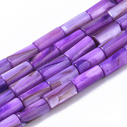 Natural Freshwater Shell Beads, Dyed, Column, Violet, 10x4.5mm, Hole: 0.9mm, about 36pcs/Strand, 14.17 inch(36 cm)