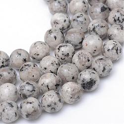 Chapelets de perles en jaspe sésame naturel / jaspe kiwi, ronde, gris clair, 8~9mm, Trou: 1mm, Environ 46~47 pcs/chapelet, 14.9~15.1 pouce