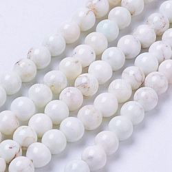 Perlenstränge aus natürlichem Magnesit, gefärbt, Runde, Blumenweiß, 6 mm, Bohrung: 1 mm, ca. 68 Stk. / Strang, 15.7 Zoll