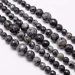 Natural Labradorite Beads Strands, Graduated Beads, Faceted, Round, Gray, 6~14mm, Hole: 1mm