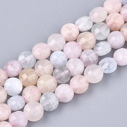 Chapelets de perles en morganite naturelle, facette, plat rond, 6~6.5x4~5mm, Trou: 1mm, Environ 61~67 pcs/chapelet, 14.9 pouce ~ 15.1 pouces