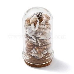 Decorazioni per espositori per bottiglie con cupola di vetro, con perla di conchiglia naturale all'interno e base in sughero, bianco, 46~48x25mm