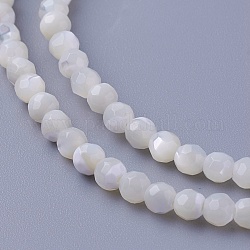 Chapelets de perles de coquillage, facette, ronde, 3~3.5mm, Trou: 0.8mm, Environ 118 pcs/chapelet, 15.31 pouce (38.9 cm)