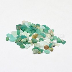 Natural Amazonite Chip Beads, No Hole/Undrilled, 2~8x2~4mm, about 340pcs/20g