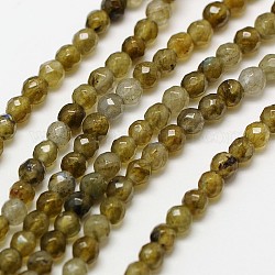Natural Labradorite Beads Strands, Faceted Round, 2mm, Hole: 0.8mm, about 190pcs/strand, 16 inch