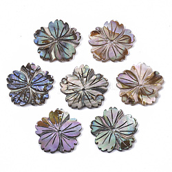 Perle di conchiglia paua / abalone naturali, fiore, 16x16.5x1.5mm, Foro: 1 mm