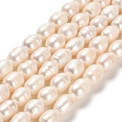 Hebras de perlas de agua dulce cultivadas naturales, arroz, grado ab, lino, 10~17x8~9.5mm, agujero: 0.6 mm, aproximamente 26~29 pcs / cadena, 13.07~13.31 pulgada (33.2~33.8 cm)
