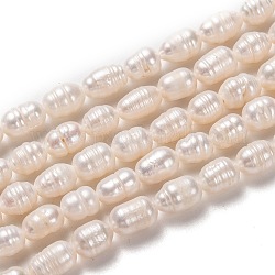 Brins de perles de culture d'eau douce naturelles, riz, bisque, 7~8x5~6mm, Trou: 0.8mm, Environ 43 pcs/chapelet, 13.39 pouce (34 cm)