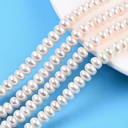 Natural Cultured Freshwater Pearl Beads Strands, Rondelle, Seashell Color, 7x3.5~5mm, Hole: 0.6mm, about 66~67pcs/strand, 14.57 inch(37cm)