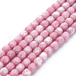 Opaque Baking Painted Glass Beads Strands, Imitation Stones, Faceted, Column, Light Coral, 5.5x5.5mm, Hole: 1mm, about 70pcs/strand, 15.94 inch(40.5cm)