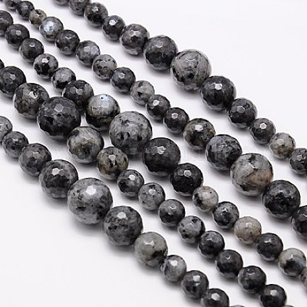 Natural Labradorite Beads Strands G-G548-12A-1