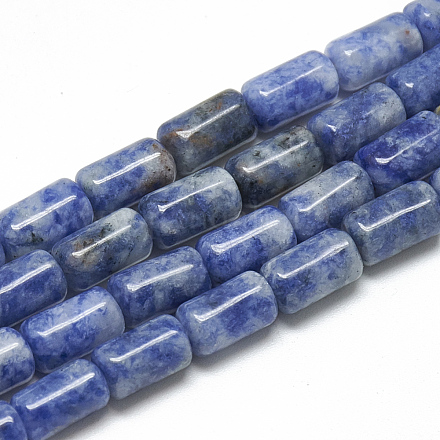 Fili di perle di diaspro macchia blu naturale G-T078-10-1