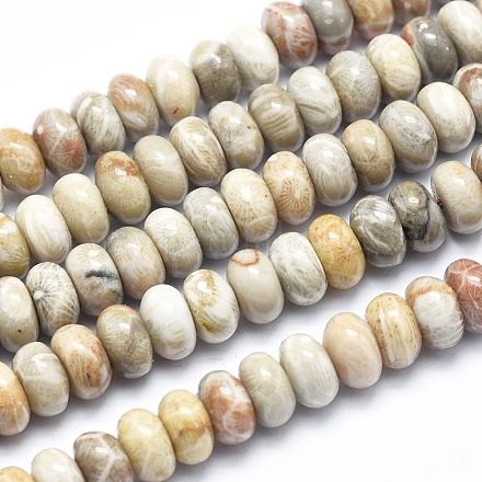 Natural Fossil Coral Beads Strands G-K256-10B-1