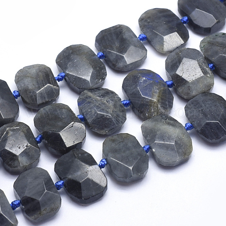 Natural Labradorite Beads Strands G-K223-45A-1