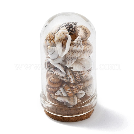 Decorazioni per espositori per bottiglie con cupola di vetro AJEW-JD00008-01-1