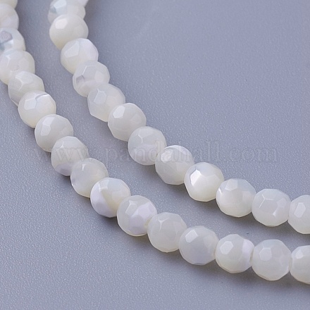 Chapelets de perles de coquillage SSHEL-E571-38-3mm-1