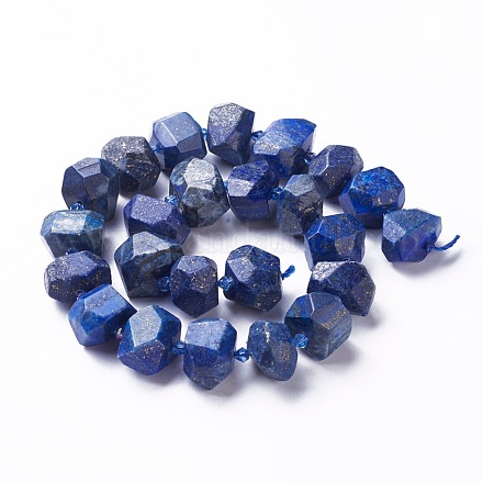 Natural Lapis Lazuli Beads Strands G-P434-16-1