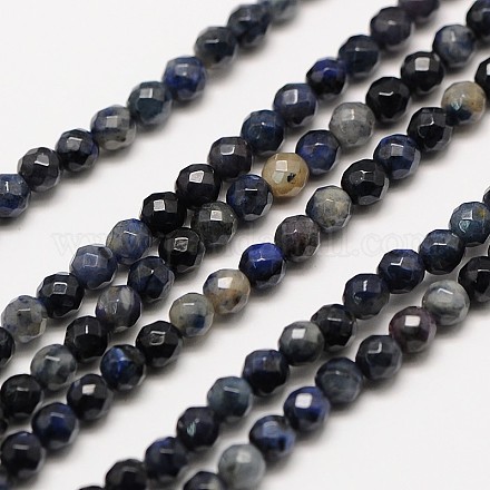 Natural Gemstone Sodalite Faceted Round Beads Strands X-G-A129-3mm-24-1