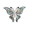 Butterfly Abalone Shell/Paua Shell Brooch Pins, Alloy Rhinestone Lapel Pins, Platinum, 36x52mm