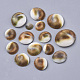 Cabuchones naturales shell SSHEL-S258-93-2