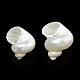 Perles de coquillage en spirale naturelle SSHEL-N034-126-2