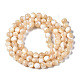 Fili di perle di conchiglia trochid naturale / trochus SSHEL-S266-023B-02-2
