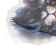20 шт. водонепроницаемые самоклеящиеся декоративные наклейки для домашних животных с лунным котом DIY-M053-04C-4
