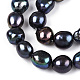 Natural Cultured Freshwater Pearl Beads Strands PEAR-N014-10C-5