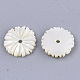 Perles de coquillage blanc naturel X-SSHEL-R045-23-2
