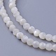 Chapelets de perles de coquillage SSHEL-E571-38-3mm-1