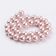 Chapelets de perles de coquille X-BSHE-G013-12mm-02-2
