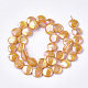 Freshwater Shell Beads Strands SHEL-S274-52D-2