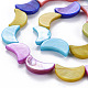 Eau douce naturelle de coquillage perles brins SHEL-N026-165-3