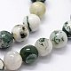 Chapelets de perles en agate d'arbre naturelle X-G-I199-03-6mm-3