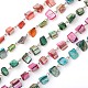 Handmade Sea Shell Beads Chains for Necklaces Bracelets Making AJEW-JB00066-1