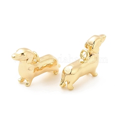 Breloques en laiton, Sans cadmium & sans nickel & sans plomb, charme de chien, véritable 18k plaqué or, 10x4x16mm, Trou: 1.4mm