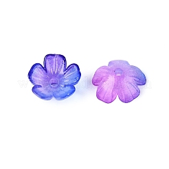 Capuchons de perles en plastique transparent&nbsp;KY-Q005-02A-05