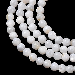 Eau douce naturelle de coquillage perles brins&nbsp;SH-CBA2978-07D-01