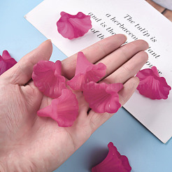 Прозрачные акриловые бусины&nbsp;X-BSF796-C16